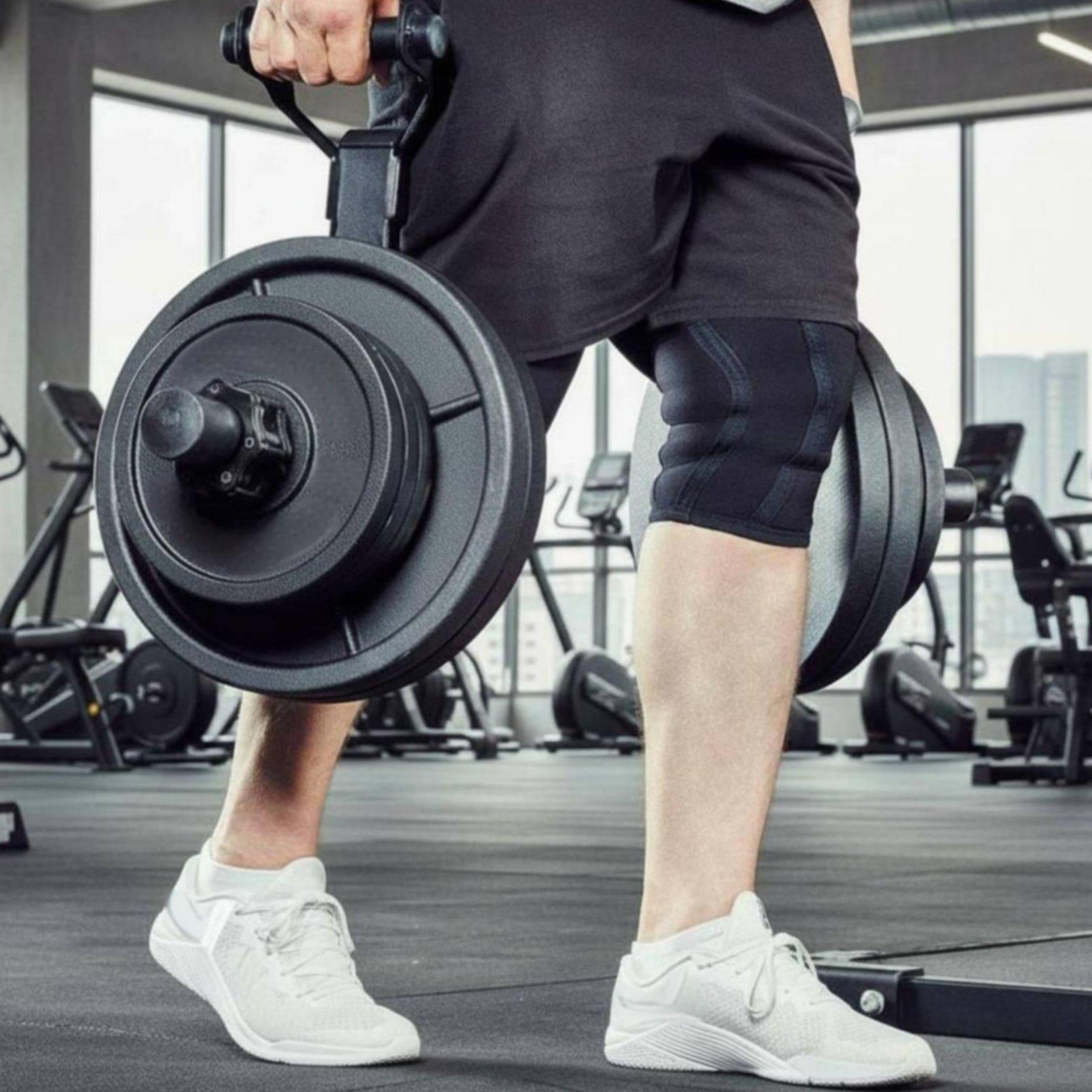 Multi-size Barbell Plate Holde - đánh giá và giá Home Gym Equipments