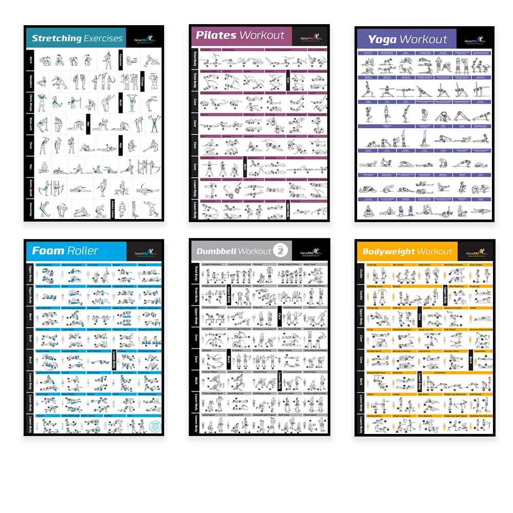 Body Exercise Training Chart W - đánh giá và giá Home Gym Decor