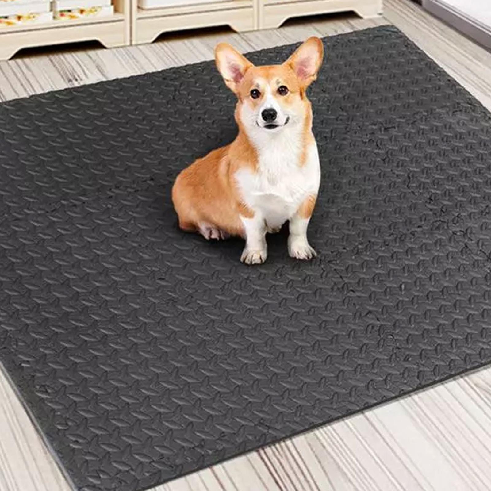Gym Tiles 12 Pieces Interlocki - đánh giá và giá Home Gym For Toddlers
