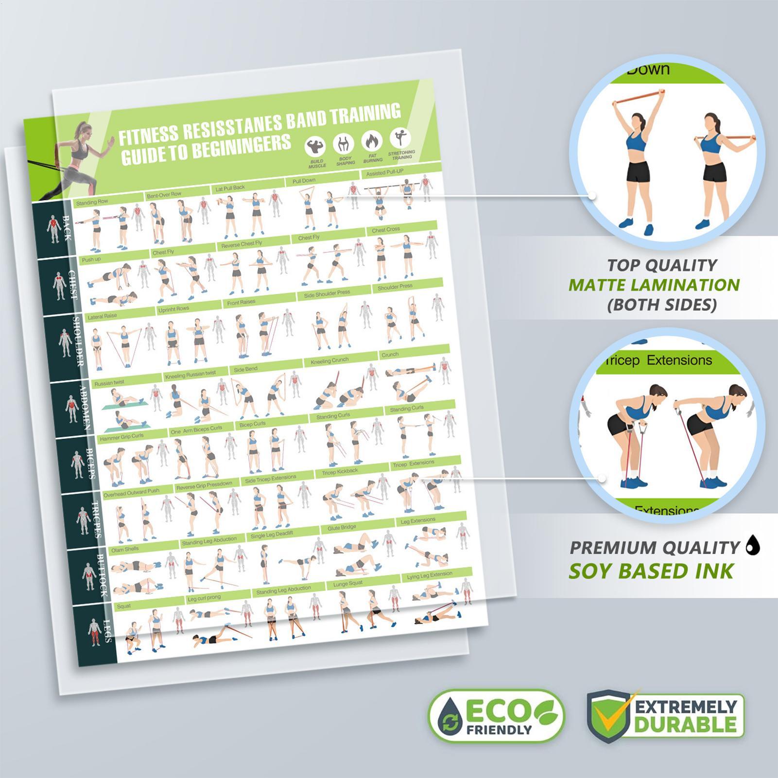 Workout Posters with Resistanc - đánh giá và giá Home Gym Guide