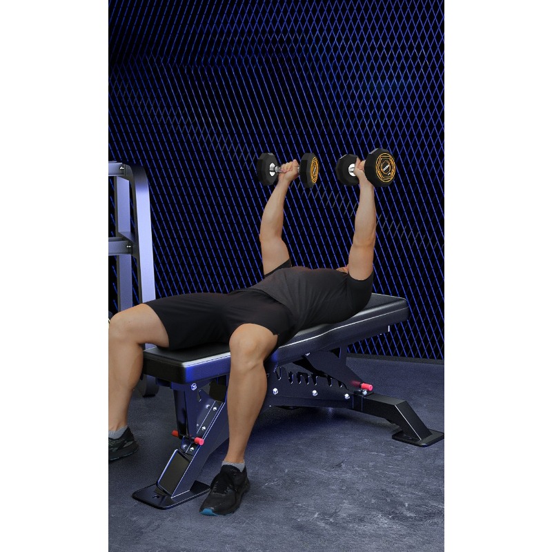 Commercial High-End Weight Ben - đánh giá và giá Adjustable Weight Bench