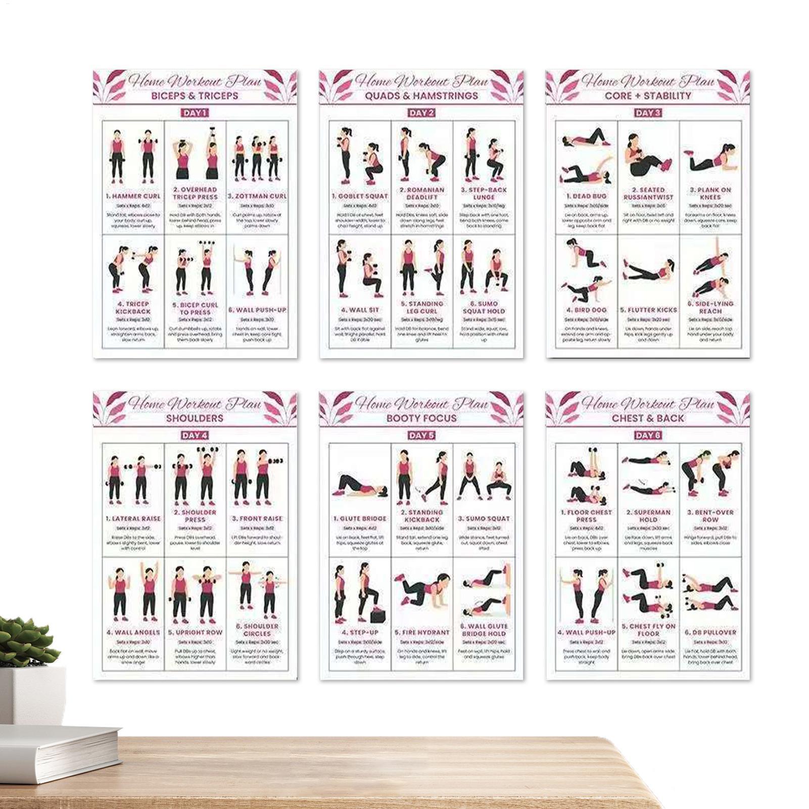 Workout Poster 6 Pieces Full B - đánh giá và giá Home Gym Guide