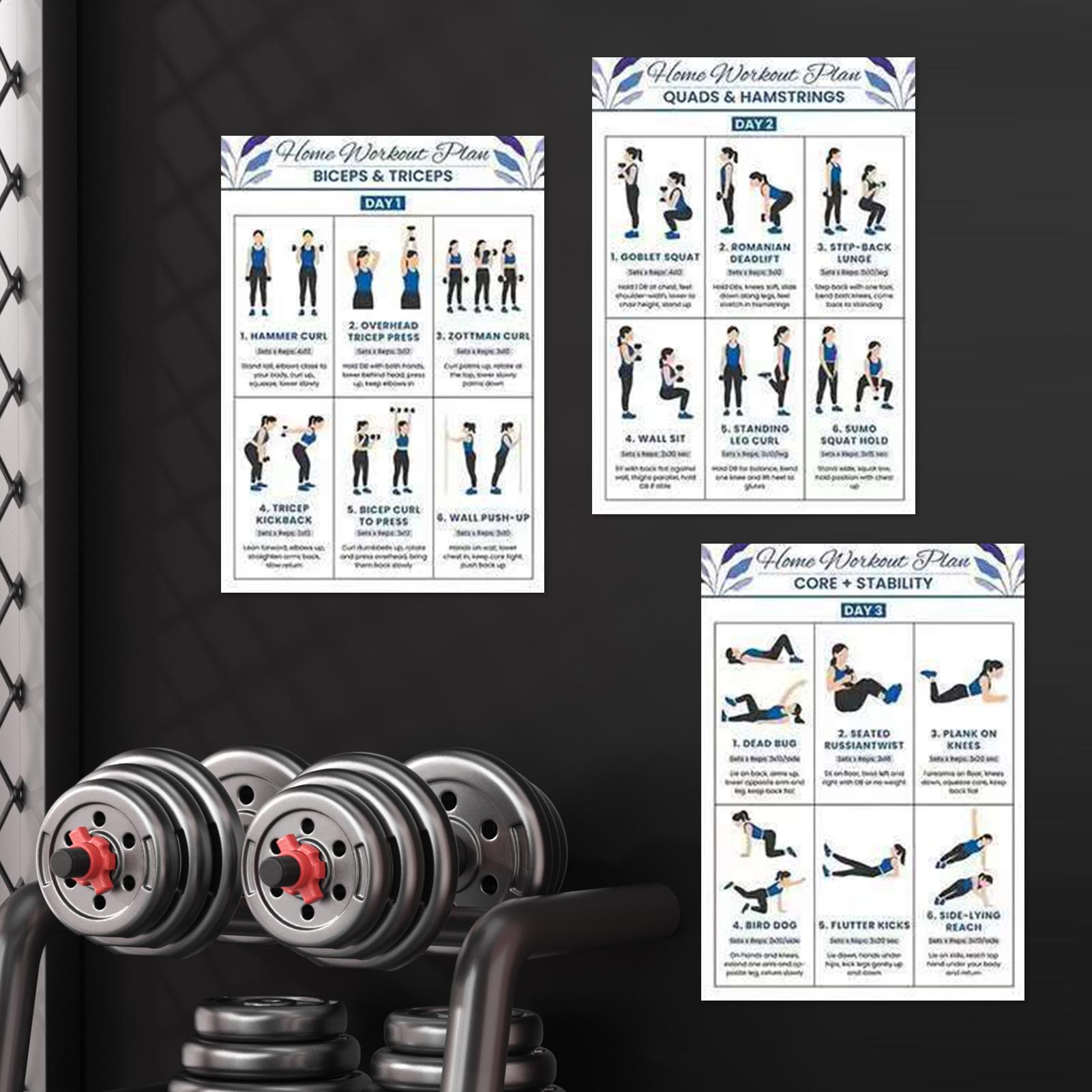 6pcs Yoga Dumbbell Stretching  - đánh giá và giá Home Gym Guide